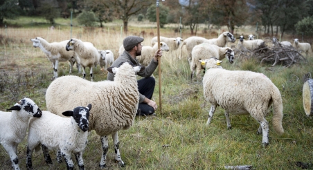 Mas les Vinyes, St. Martí d'Albars. PATXI URIZ | DIPUTACIÓ DE BARCELONA