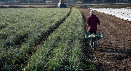 Can Tabaquet, Espai Agrari Pla de Palou. PATXI URIZ | DIPUTACIÓ DE BARCELONA