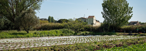 Camps, Prat de Llobregat. PATXI URIZ | DIPUTACIÓ DE BARCELONA