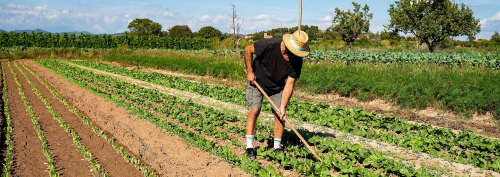 Xarxa per la Sobirania Alimentària de la Catalunya Central 