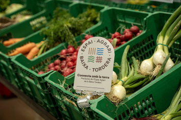 PATXI URIZ | DIPUTACIÓ DE BARCELONA