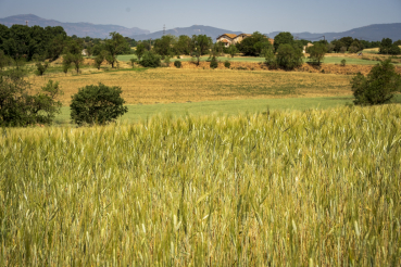 Espai Rural de Gallecs. PATXI URIZ | DIPUTACIÓ DE BARCELONA
