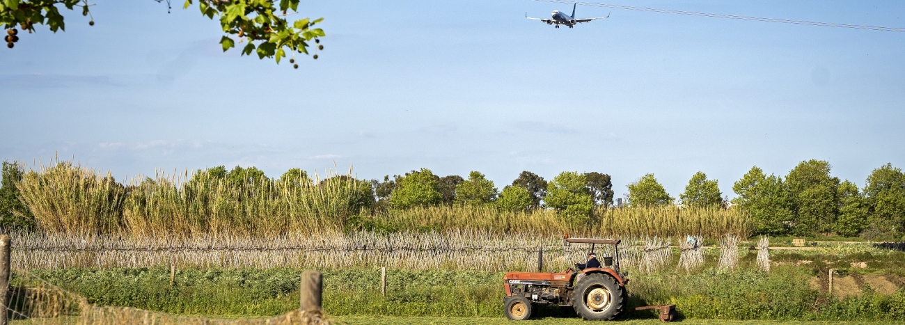 Parc Agrari del Baix Llobregat. PATXI URIZ | DIPUTACIÓ DE BARCELONA