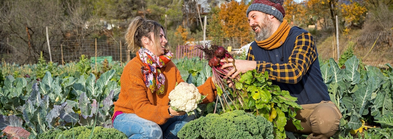 Banc de terres del PRM. PATXI URIZ | DIPUTACIÓ DE BARCELONA