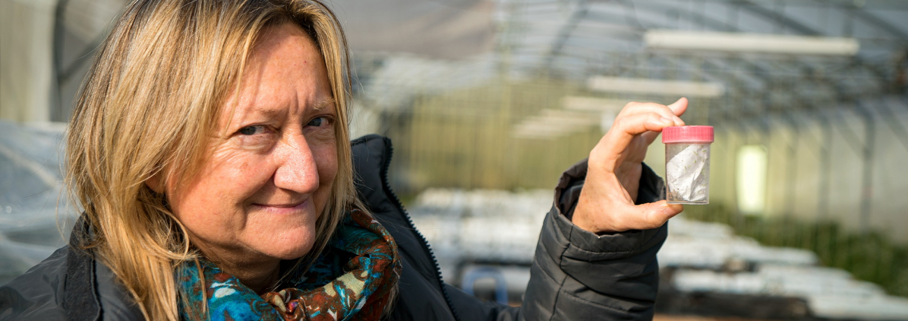 Investigadora Federació Selmar, Santa Susanna. PATXI URIZ | DIPUTACIÓ DE BARCELONA