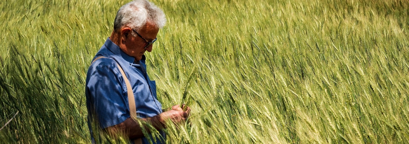 Salvi Safont, Can Salvi. PATXI URIZ | DIPUTACIÓ DE BARCELONA