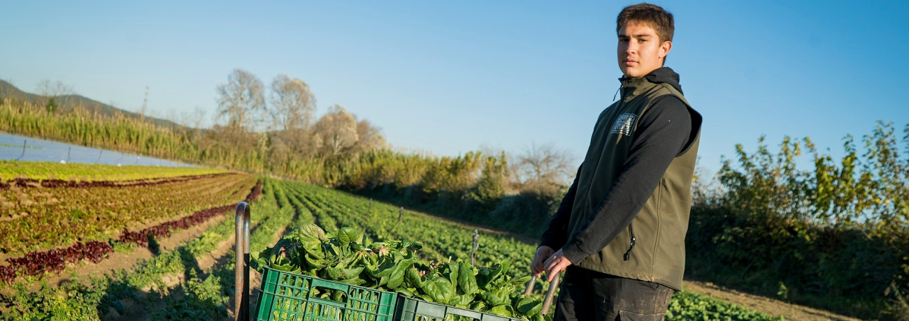 Espai Agrari de la Baixa Tordera. PATXI URIZ | DIPUTACIÓ DE BARCELONA