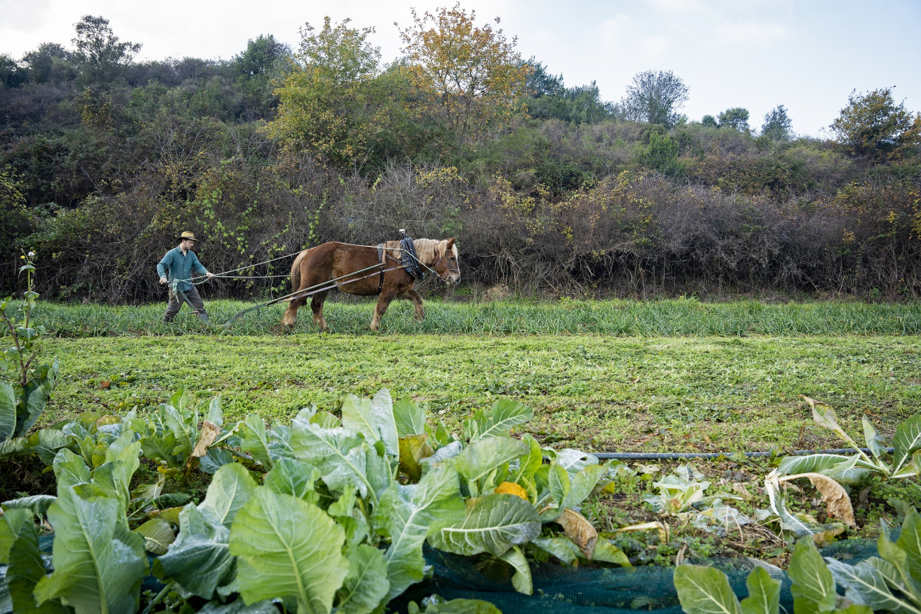Pol Dunyó, El Mosaic. PATXI URIZ | DIPUTACIÓ DE BARCELONA