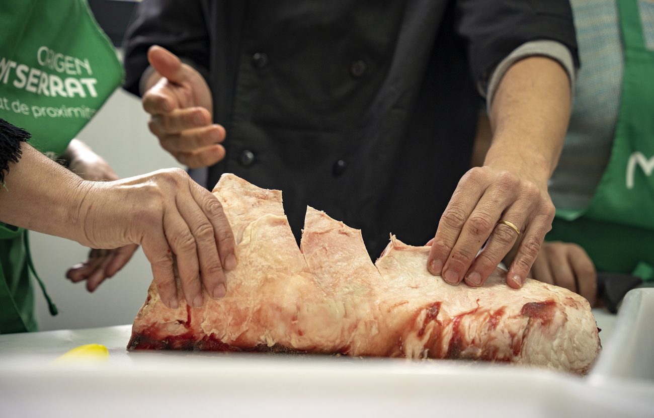 Formació al Parc Rural del Montserrat. PATXI URIZ | DIPUTACIÓ DE BARCELONA