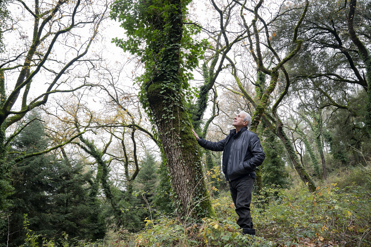 Melcior Montaner, propietari forestal. PATXI URIZ | DIPUTACIÓ DE BARCELONA