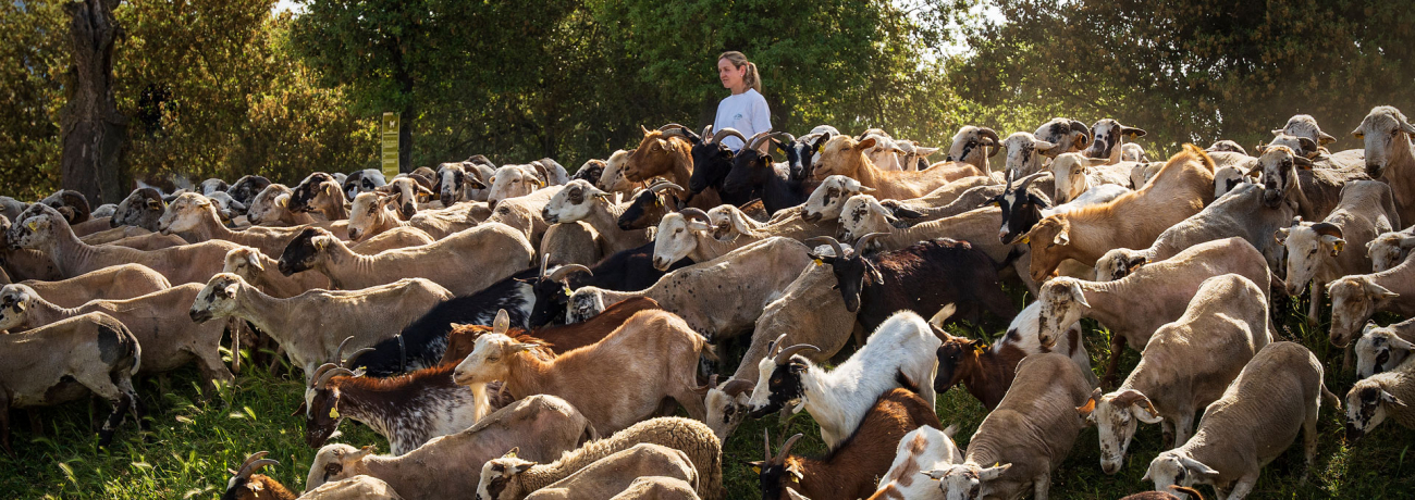 Maria Carme Plana, Can Plana. PATXI URIZ | DIPUTACIÓ DE BARCELONA