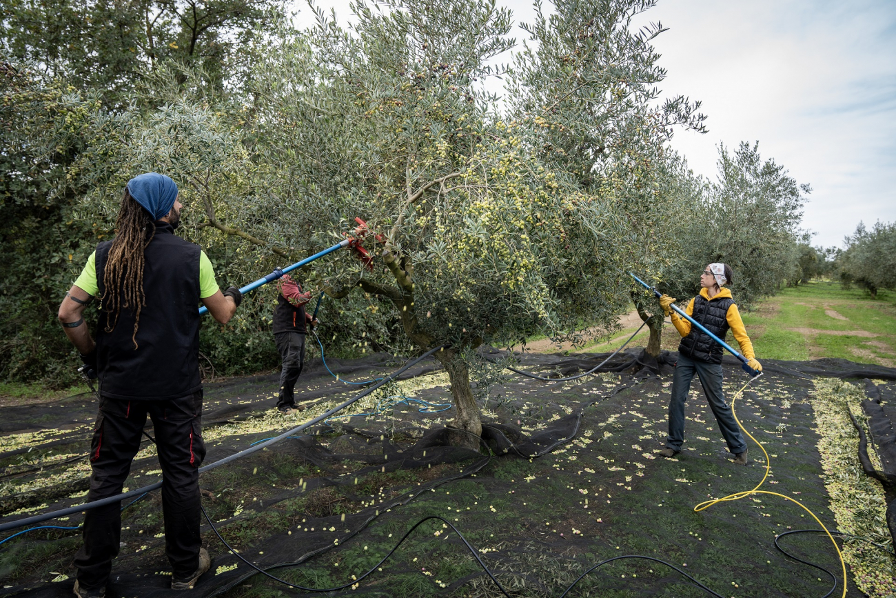La Beneta, Els Hostalets de Pierola.  PATXI URIZ | DIPUTACIÓ DE BARCELONA