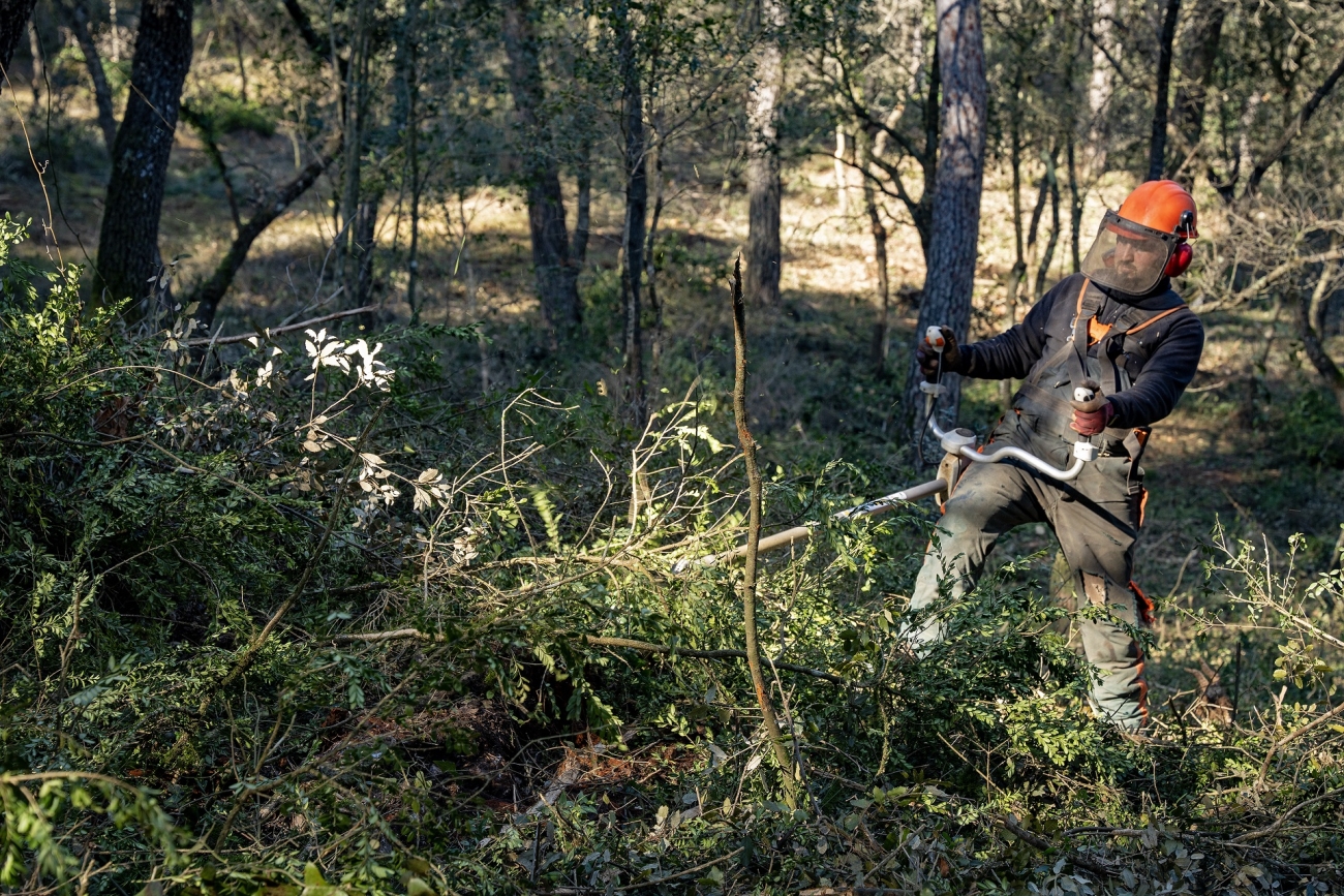 Recuperació de pastures a Santa Margarida de Montbui. PATXI URIZ | DIPUTACIÓ DE BARCELONA